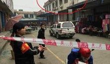 乐山最新爆料新闻事件,揭秘背后惊人真相