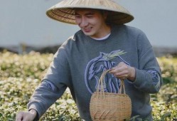 林生斌事件最新视频爆料,真相再起波澜，疑云重重引关注